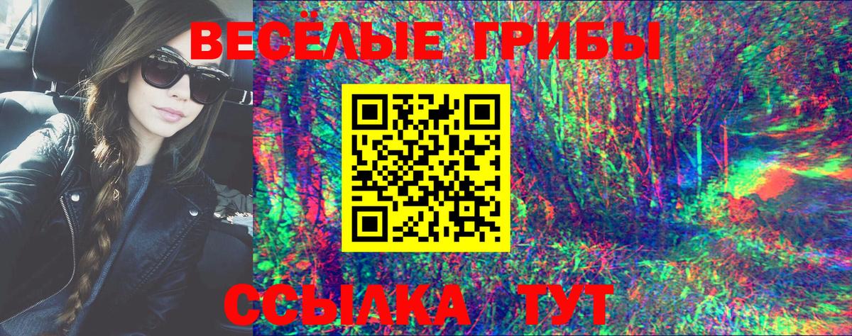 Псилоцибиновые грибы Cubensis Новороссийск