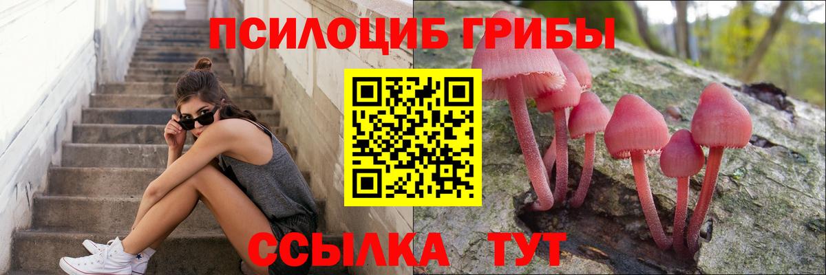 Псилоцибиновые грибы Magic Shrooms  Вход с VPN  Новороссийск  Псилоцибиновые грибы MAGIC MUSHROOMS 
